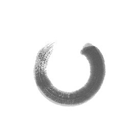 当代 水墨圆框 中国风 装饰