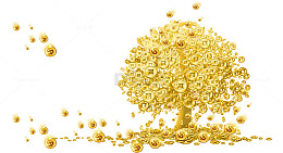 卡通挂满金币的的树png