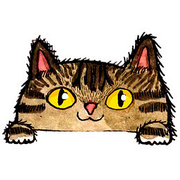 卡通猫