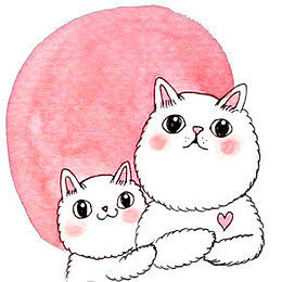卡通猫