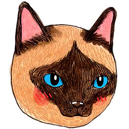 卡通猫
