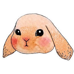 卡通兔子