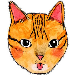 卡通猫