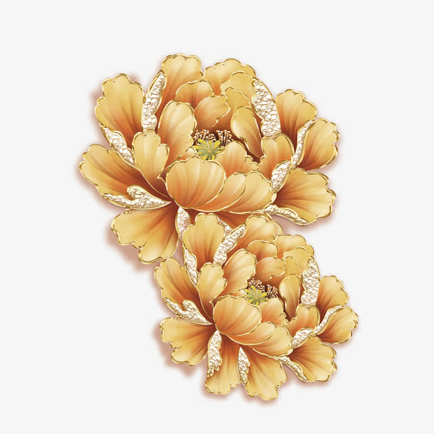 金色牡丹花