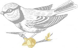 猫头鹰矢量素材