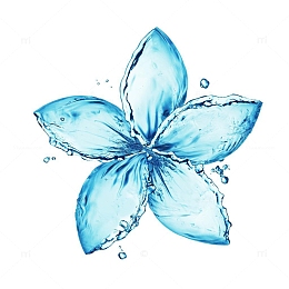 花朵型的水
