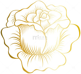 金色边缘玫瑰花