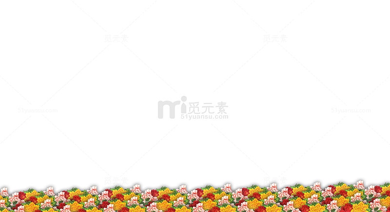 菊花图片素材