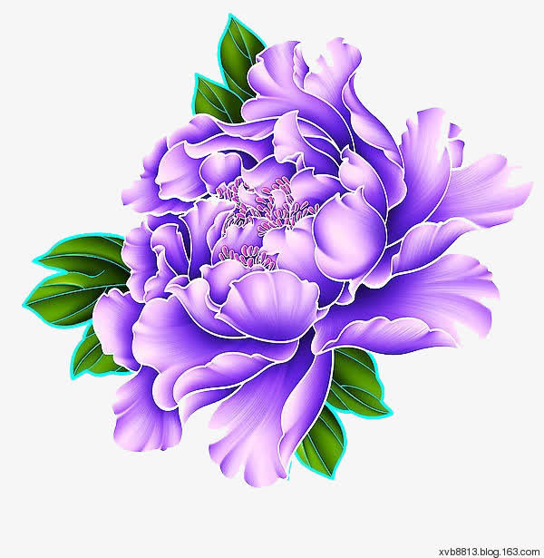 牡丹花素材免费下载_觅元素