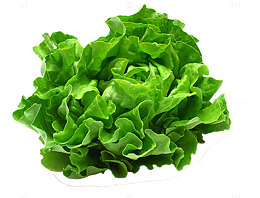 野菜