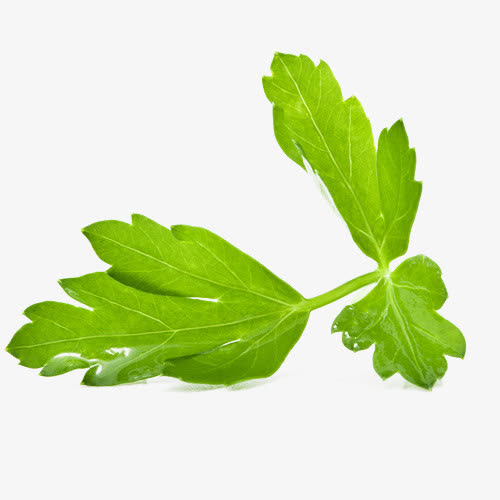 绿色菜叶免抠素材免费下载_觅元素51yuansu.com