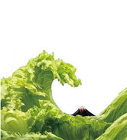 蔬菜浪花