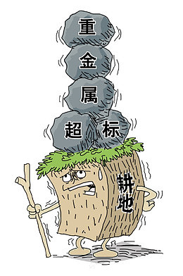 重金属污染超标插图