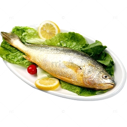 舟山冰鲜大黄花鱼