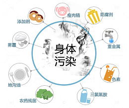 酵素 排毒 人面临污染