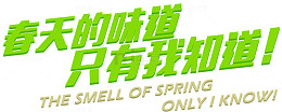 艺术字春天的味道
