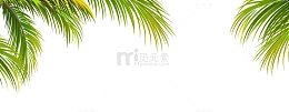 矢量卡通椰子树叶边框素材