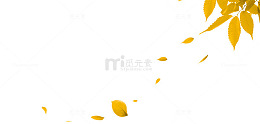 叶子