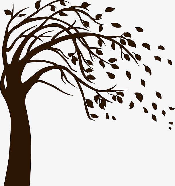 矢量秋天落叶的树插图