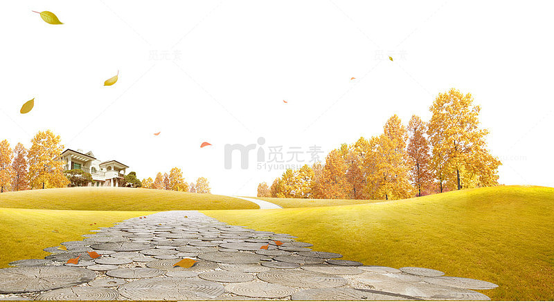 秋天落叶草地背景免抠素材