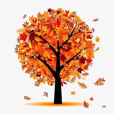 秋天落叶的树