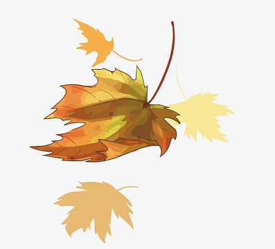 矢量落叶
