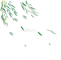 绿色柳叶