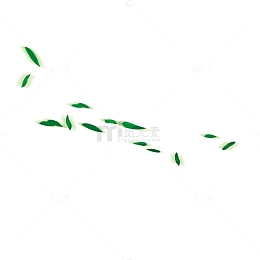 春风荡漾柳叶飞