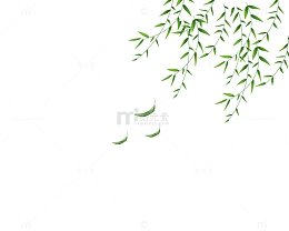 柳叶随风摆动