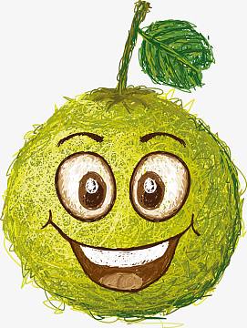 png卡通柚子矢量图下载(1500x1507)png制作蜂蜜柠檬柚子茶的水果(6300