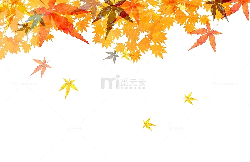 秋天红色黄色枫叶背景