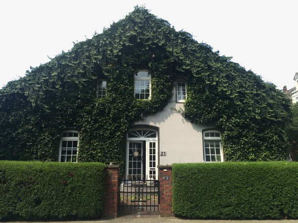 关键词 : 建筑,爬山虎,三角形[声明] 觅元素所有素材为用户免费分享