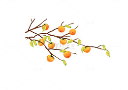 橘子树秋天黄色落叶树枝