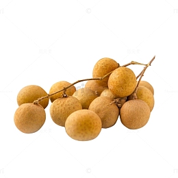 桂圆实物