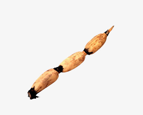 关键词 : 莲藕,农产品,农作物,一根莲藕[声明] 觅元素所有素材为用户