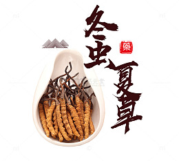 冬虫夏草