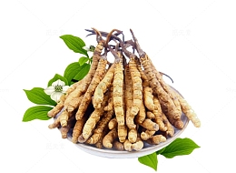 盘子装的冬虫夏草