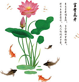 富贵花开