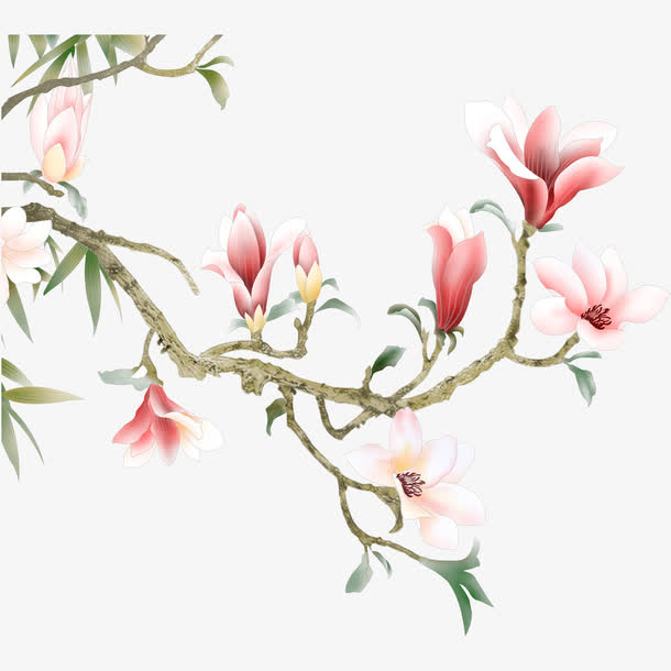 花枝免抠素材免费下载_觅元素51yuansu.com