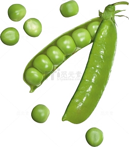 豌豆
