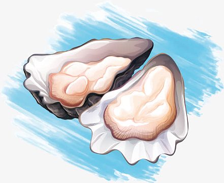 png矢量手绘美味生蚝(2361x1492)png手绘生蚝(1296x1296)aipng卡通