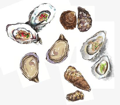 卡通创意手绘海鲜矢量图png生蚝鲜美png手绘的生蚝免费下载png矢量