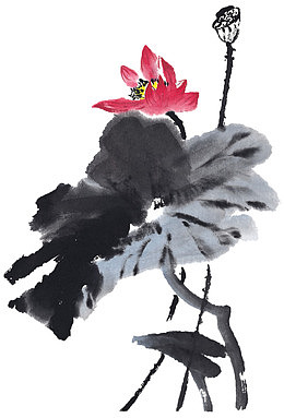 水墨画荷花