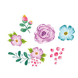 花朵插画彩色矢量图