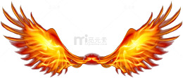 燃烧的翅膀