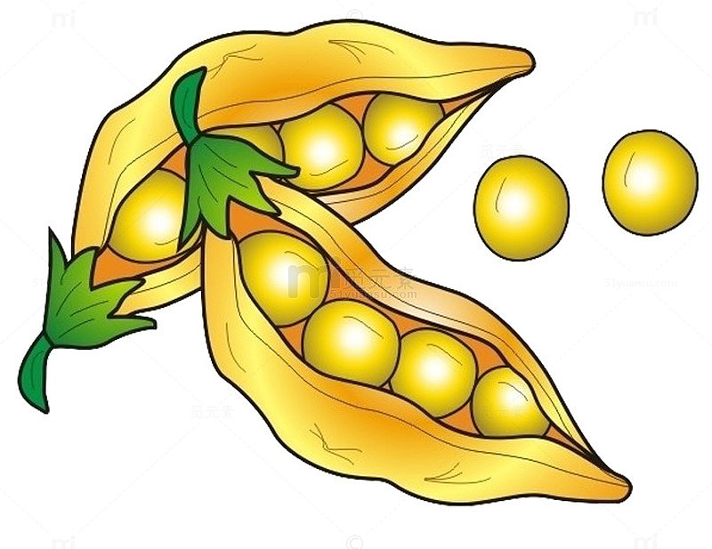 卡通黄豆