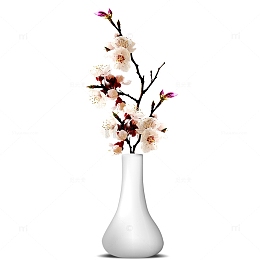 简约素雅花瓶
