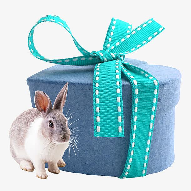 可爱的小兔子和新年礼物