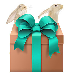 新年礼物盒素材