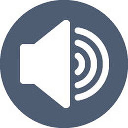 speaker icon
